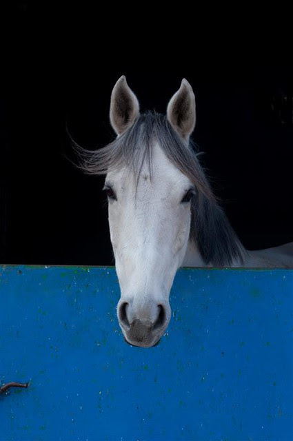she went to the hairdressers