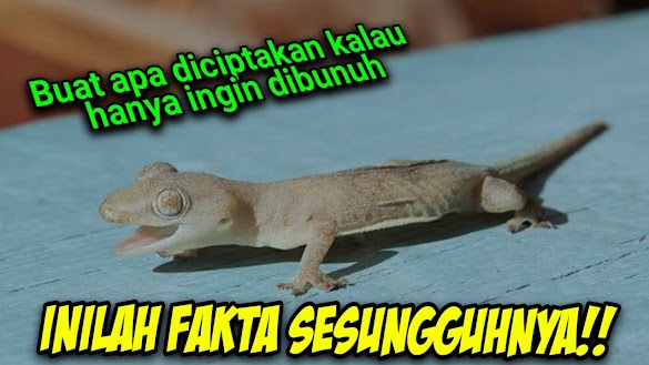 Cryptocurrency Halal Atau Tidak / Pubg Haram Atau Tidak Mui - Hack Para Pubg Lite : Halal cryptocurrency is like gold and silver as it fulfills the … crypto staking involves.