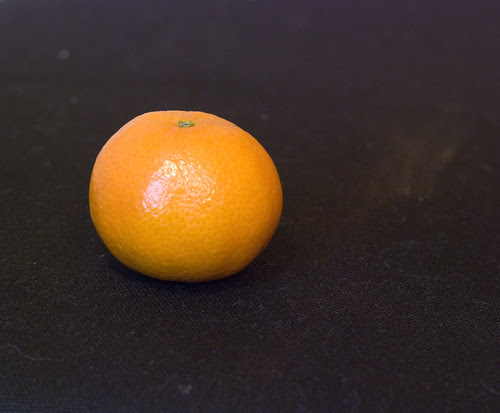 DSC_0004_01