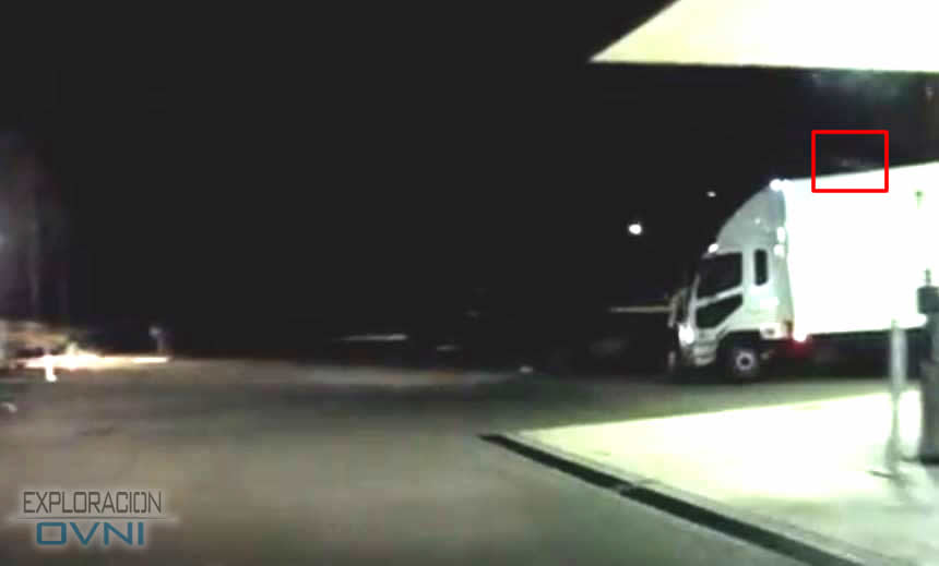 Imagen 8. Crédito: Paul y Silvia Mayo