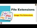 Explaining Image File Formats - Computer Fundamentals 