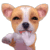 002.gif