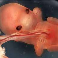 Saptamana 9 De Sarcina