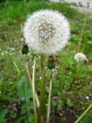 Hebergement gratuit d image et photo