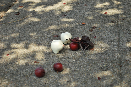"Once it hits the ground we don't eat it."