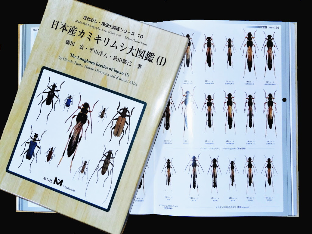 日本産カミキリムシ大図鑑 発刊 虫つれづれ 対馬v2