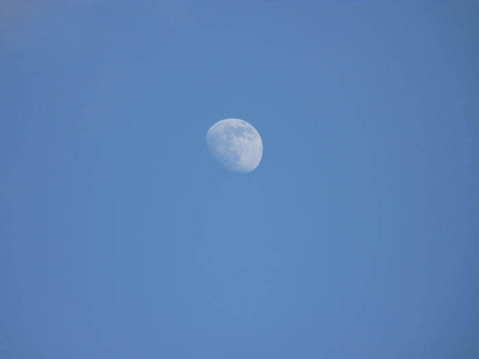 青い空と昼間に見える白い月の写真素材フリー 高画質