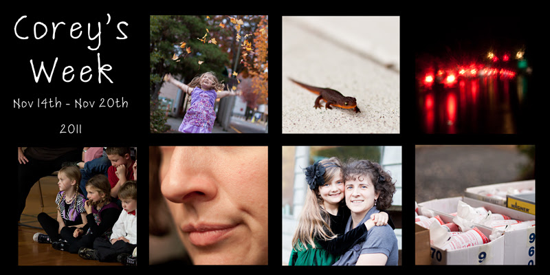 myweekdiptych59web