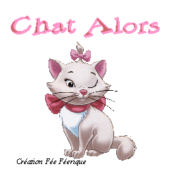 Gifs Animes De Chats