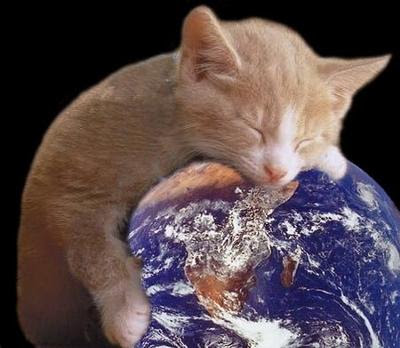 地球猫 ネコへのボケ ボケて Bokete