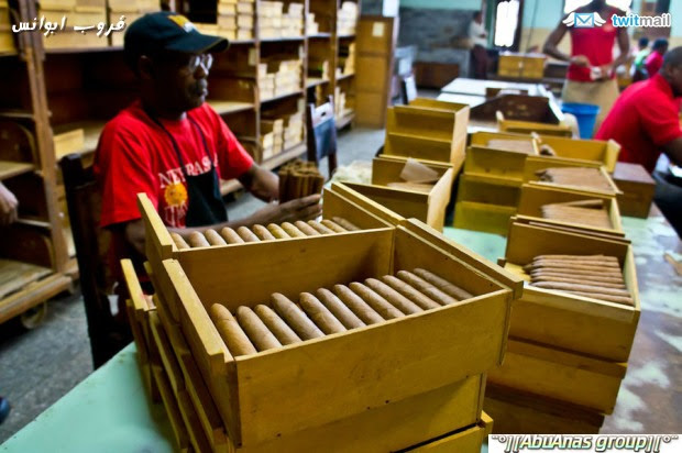 Cuban cigar  السيجار الكوبي