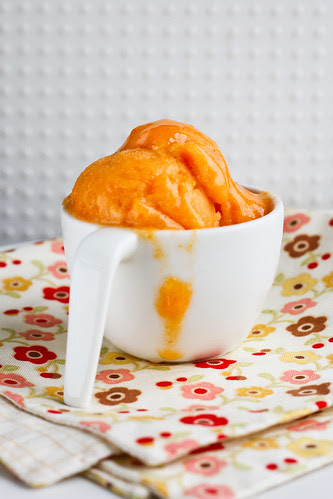 Apricot sorbet / Aprikoosisorbett