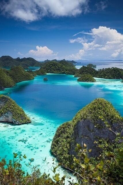 Download this Wayang Islands Raja Andat picture