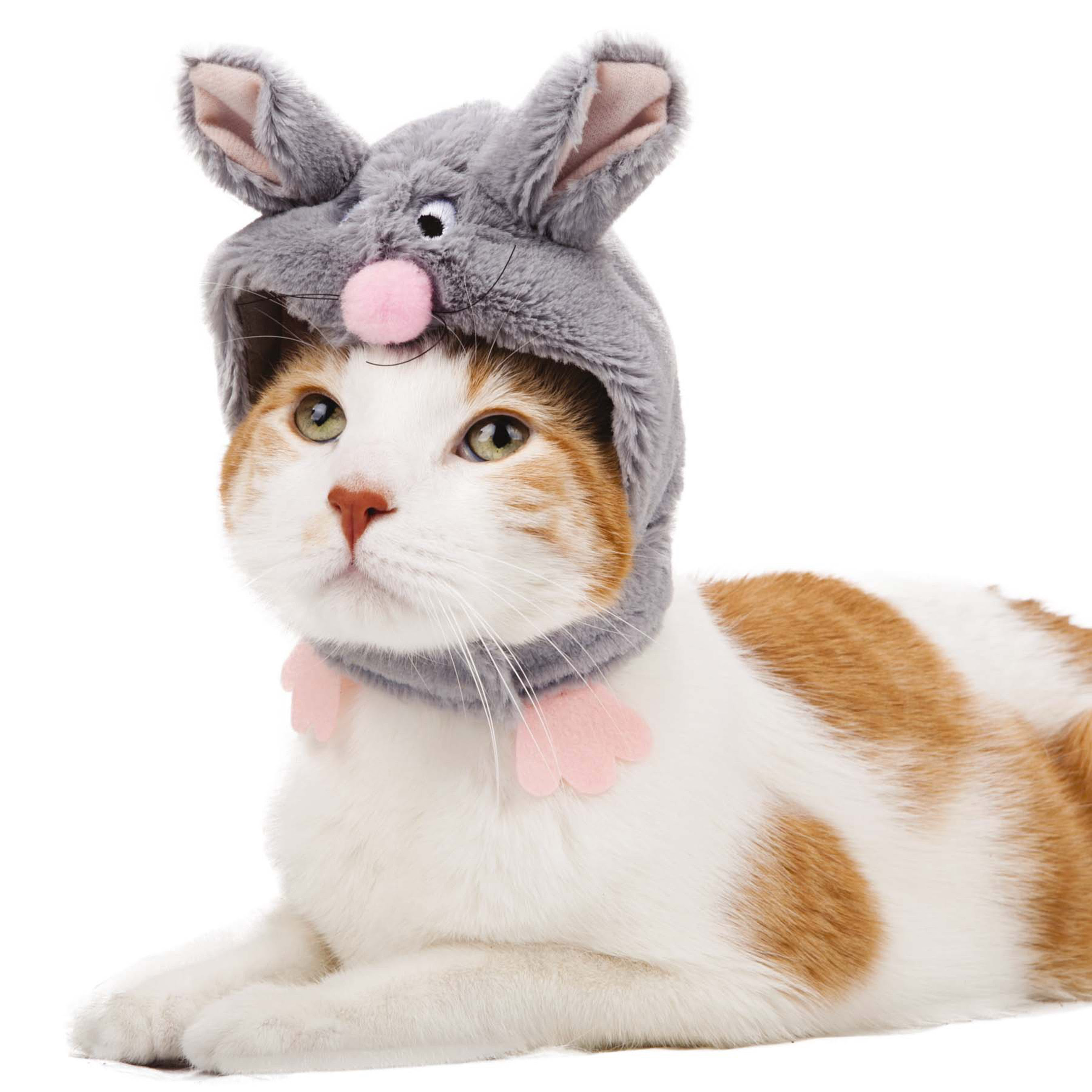 Halloween Costumes For Dogs And Cats - Pick the right Halloween costume for your cat or dog - TODAY.com