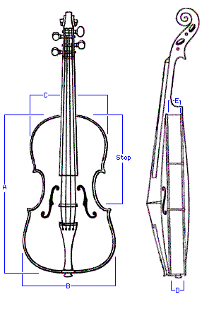 The Violin Family