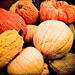 263/365: Pumpkins Galore