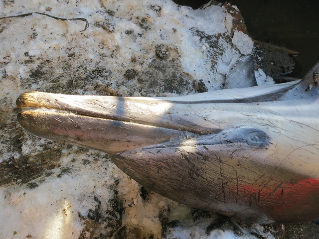 Dolphin on snow at Gowanus Canal Union Street Bridge_pic by Eymund Diegel_Gowanus Dredgers Canoe Club_2013_26 January