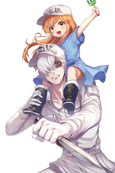 Hataraku Saibou Cells At Work Mobile Wallpaper Zerochan Anime Image Board