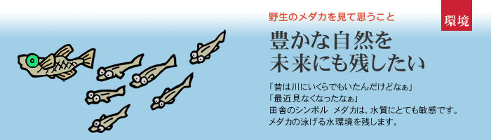 睡蓮鉢のメダカを見て思うこと 豊かな自然を未来にも残したい メダカの飼い方