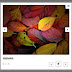 How To Create Animated Banner In Bootstrap Dreamweaver