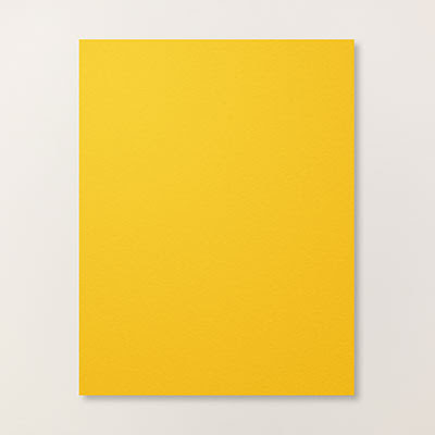 Crushed Curry 8-1/2" X 11" Cardstock