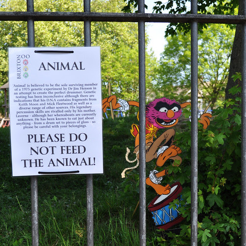 animals