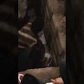Viral! Jasad TGH L Bayan Hilang Saat Dimakamkan