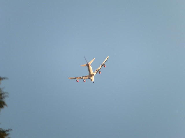DSCF9346