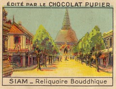 pupier siam 6