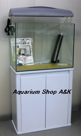 エーハイム スマート水槽セット60センチ水槽セット Eheim ガラス水槽 熱帯魚