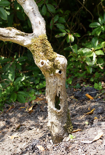Scary tree