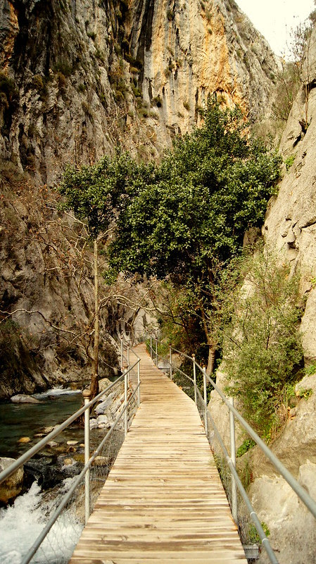 TURKKIJOULU 291