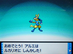 まったりポケモン奮闘記 色違いリオル進化です