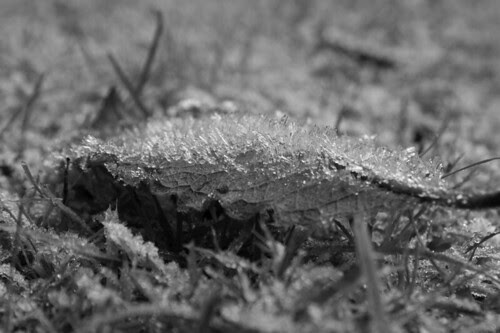 crystalized