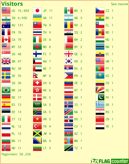 Flag Counter