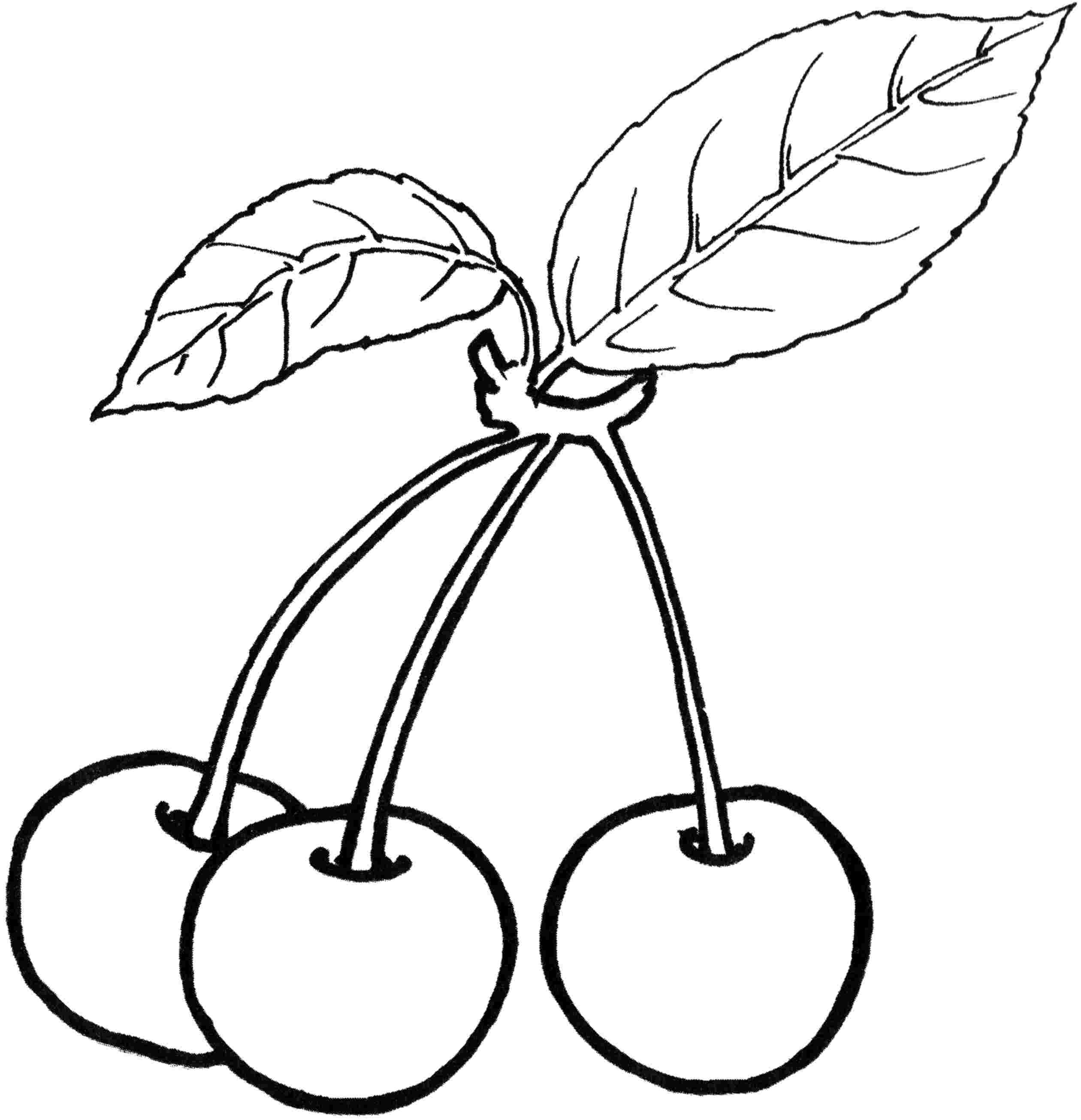 Fruits Printable Coloring Pages  Coloring Home