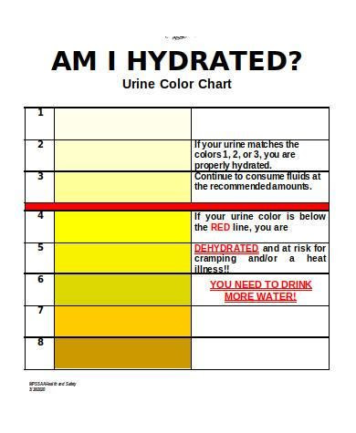 There are tons of great resources for free printable color pages online. free 10 sample urine color chart templates in pdf ms word