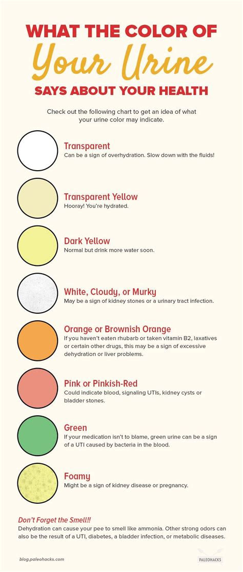 A paint color mixing chart, also called a paint color wheel, is a circle made up of 12 sections of different colors. pregnancy urine color chart hans silverman