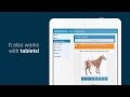How To Become A Vet Tech The Truth About Being A Vet Tech