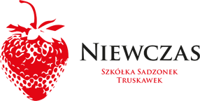 Współpraca z Niewczas
