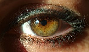 A woman’s eye. Esperanto: Virina okulo. França...