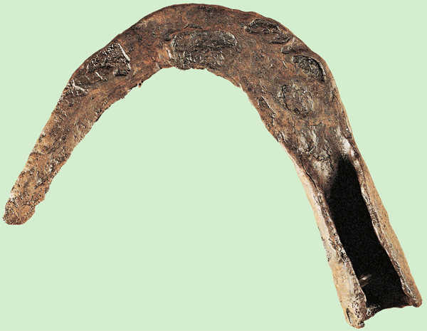 Faucille prehistoire