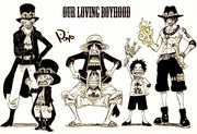 Onepiece エース 手描き ワンピース ルフィ Pixiv年鑑 B