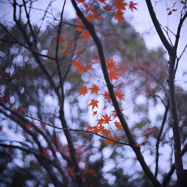 20111202-4