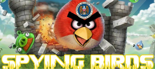 Spying birds image