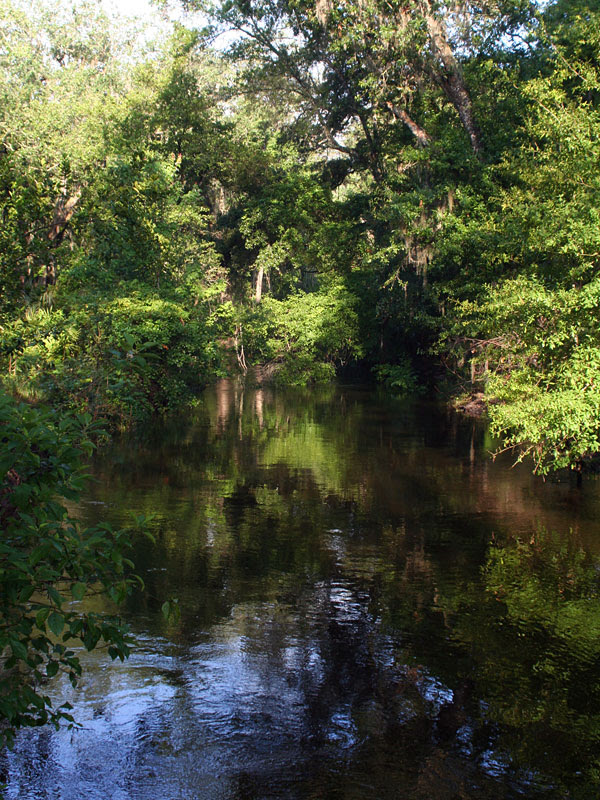 Little Wekiva