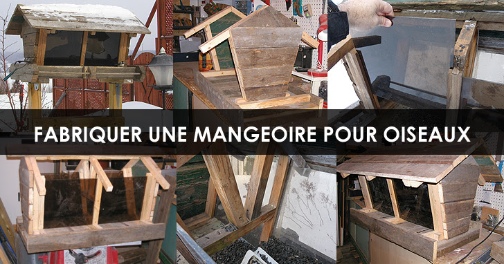 Fabriquer Mangeoire Pour Oiseaux étapes Conseils Plan De