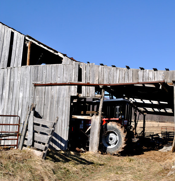 Photo & Video Sharing by SmugMug