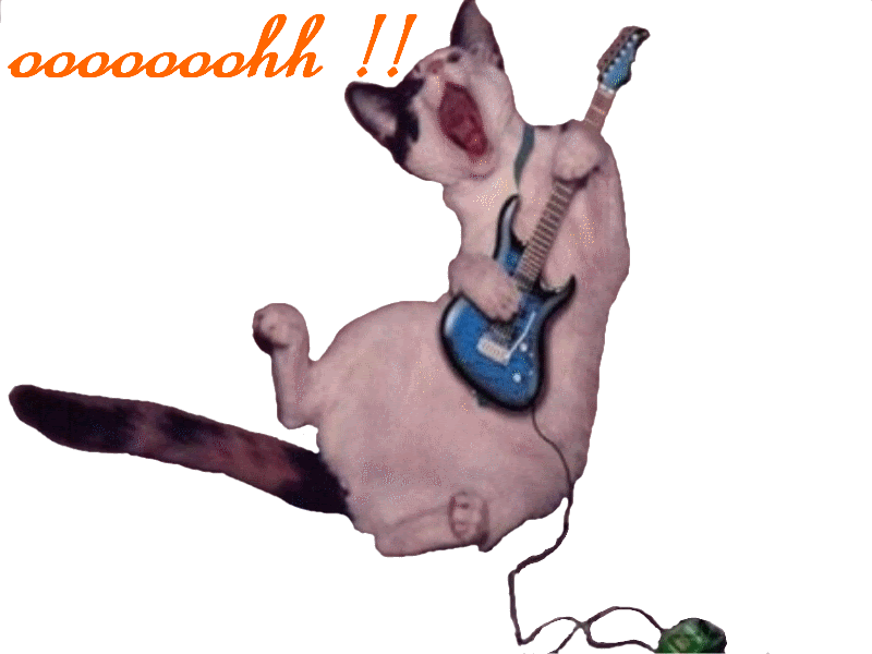 Q Tbn And9gctbpr8a00oupbqayog1364xk7gaohess B Oa Usqp Cau