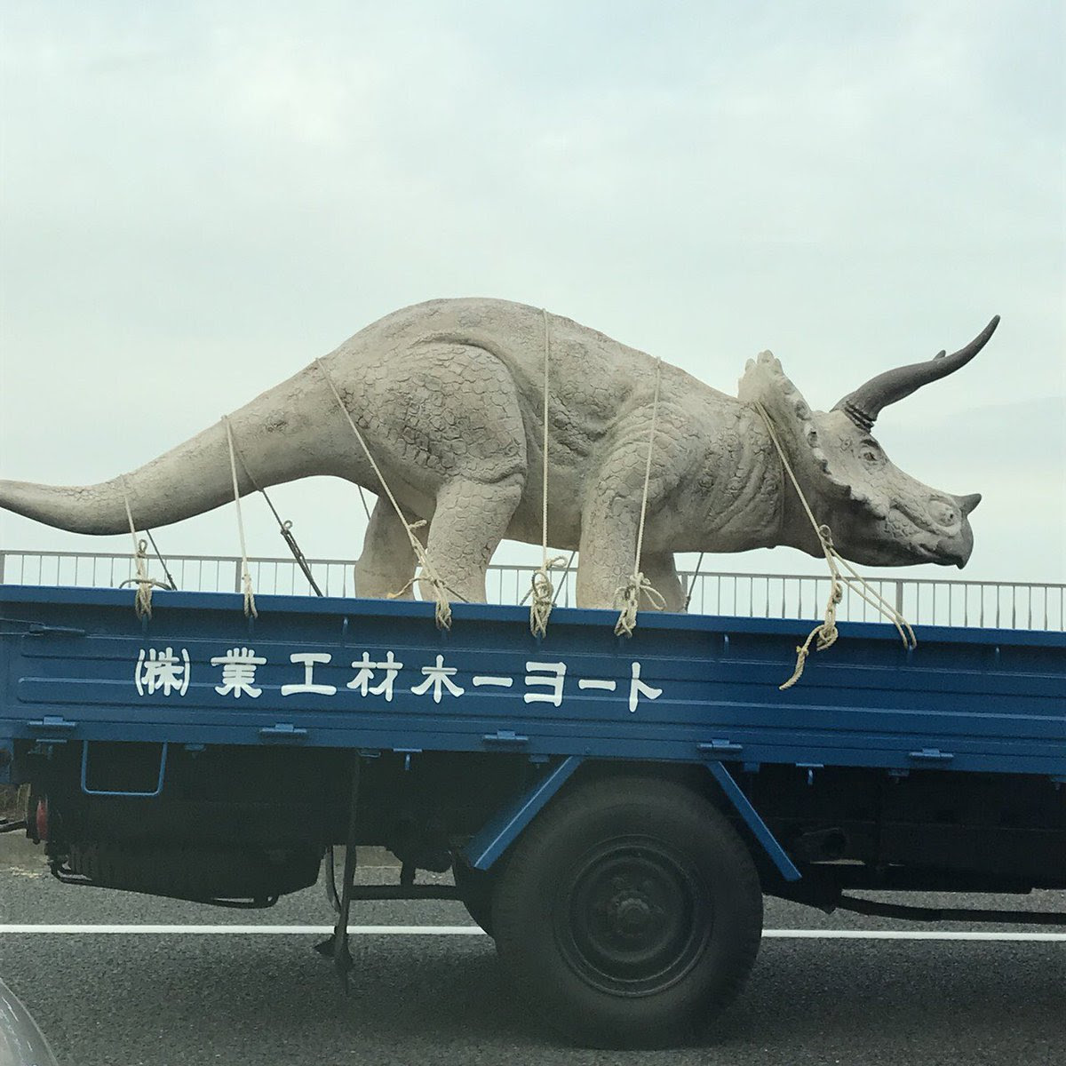 18年03月の記事 鯖世笠晴のダークグレタミン酸 墓場